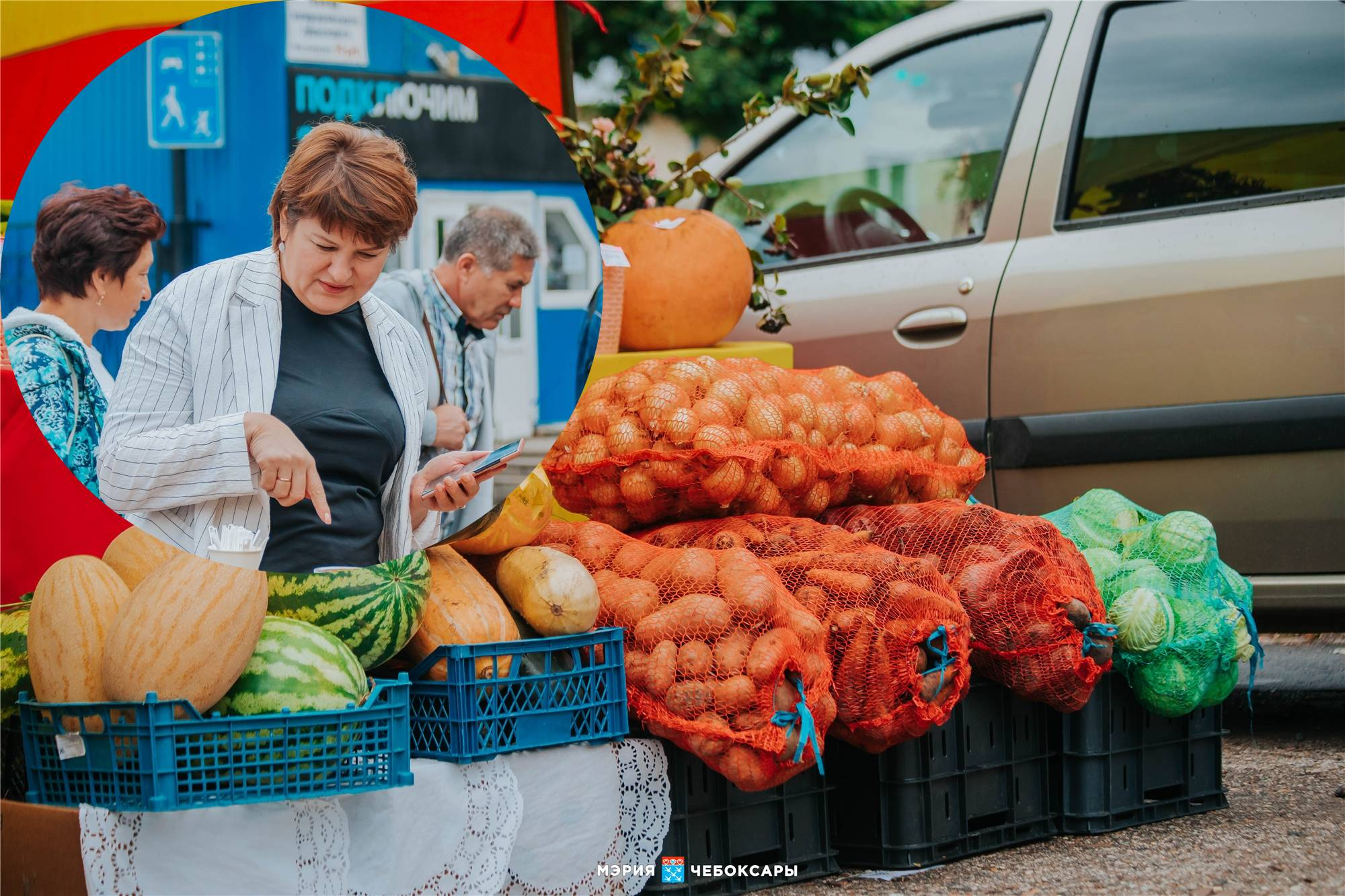Чебоксарцам предлагают запастись овощами по низким ценам: морковь по 30, кабачки по 10 рублей