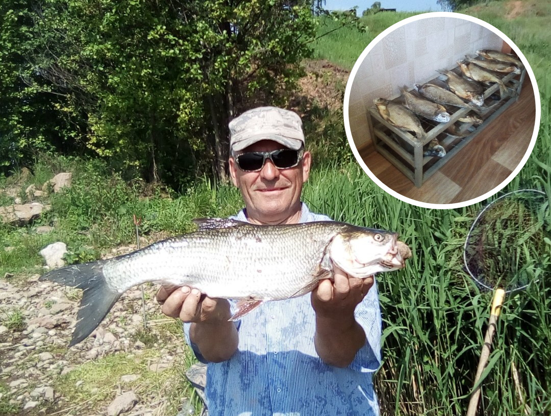 Заядлый рыбак из Чувашии рассказал, как правильно сушить рыбу, чтобы получился деликатес