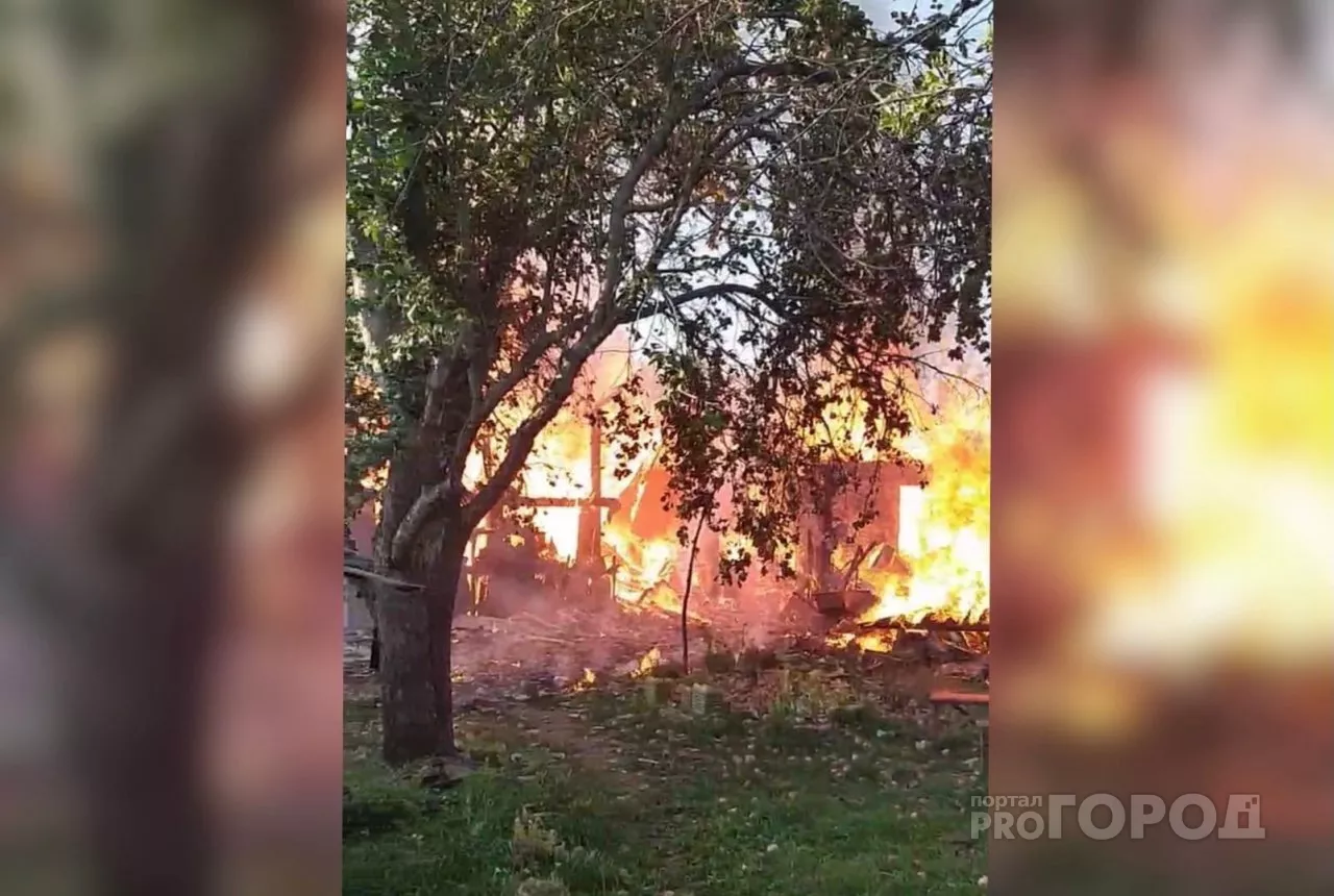 Фото к статье: Пожар рядом с Новочебоксарском тушили огнеборцы и ДПС