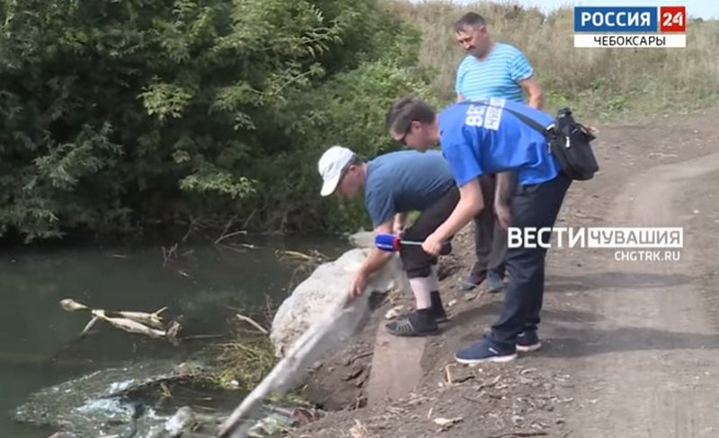 Из-за стоковых вод от сыроварни в речке Яльчикского района гибнет рыба: "Скоро не останется даже лягушек"