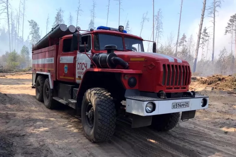 Фото к статье: Несмотря на дождливую и прохладную погоду, чувашские леса остаются под угрозой