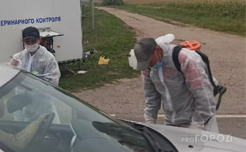 Фото к статье: В одном из районов Чувашии два месяца действовал карантин по бешенству у мусорных баков