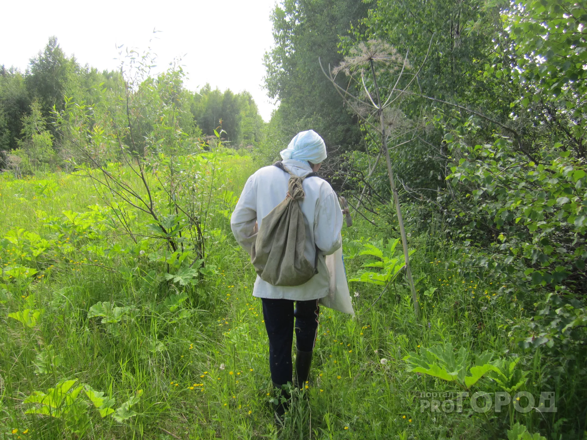 Фото к статье: В Чебоксарском районе спасатели до ночи искали пропавшую женщину