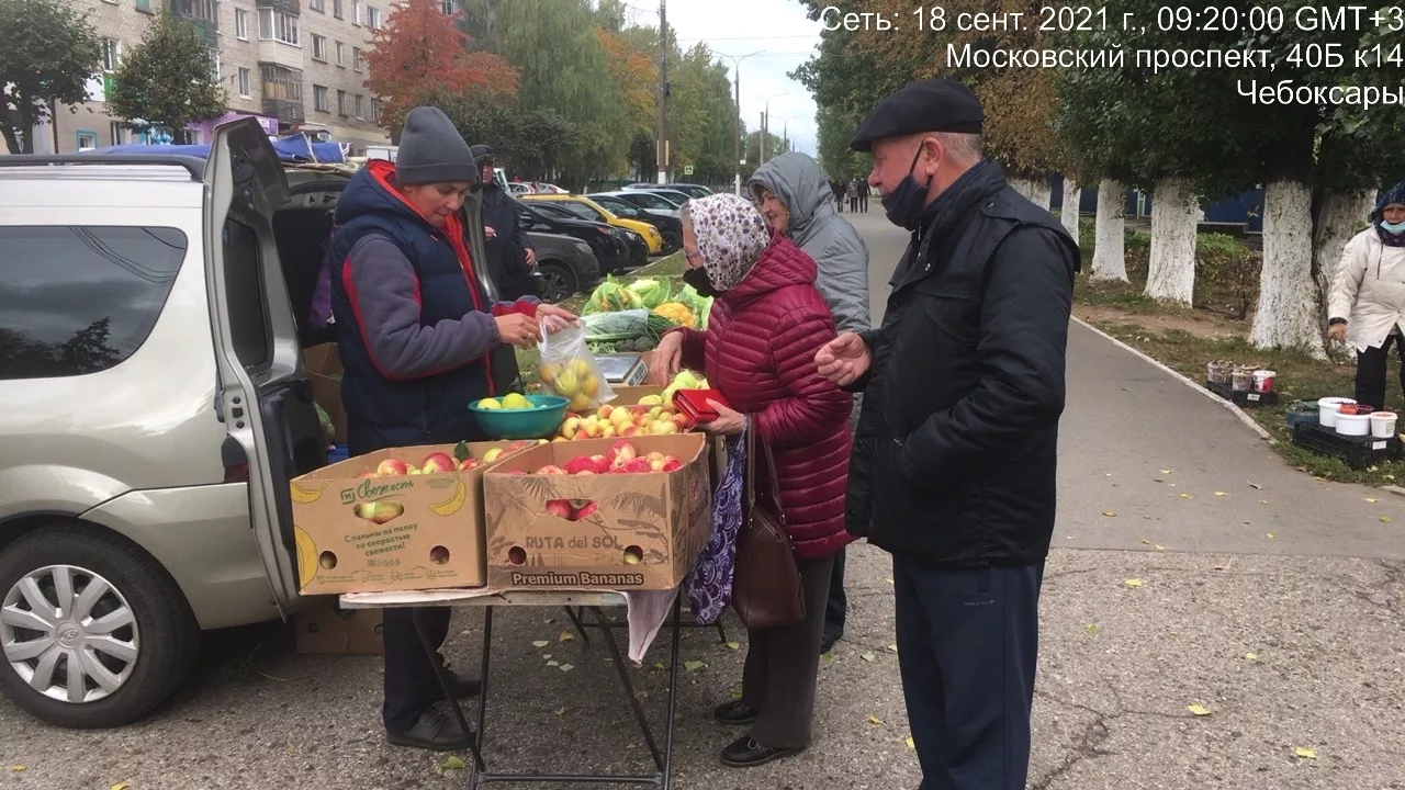Фото к статье: Овощи, грибы, мед, клюква: что и за сколько предлагают на осенних ярмарках в Чебоксарах