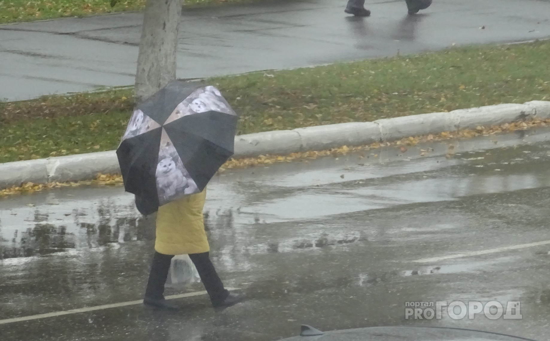 Синоптики о погоде в Чувашии на завтра: "Лучше не оставлять зонтик дома"
