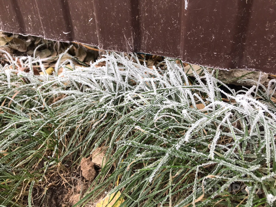 В Чувашии прогнозируют заморозки на почве