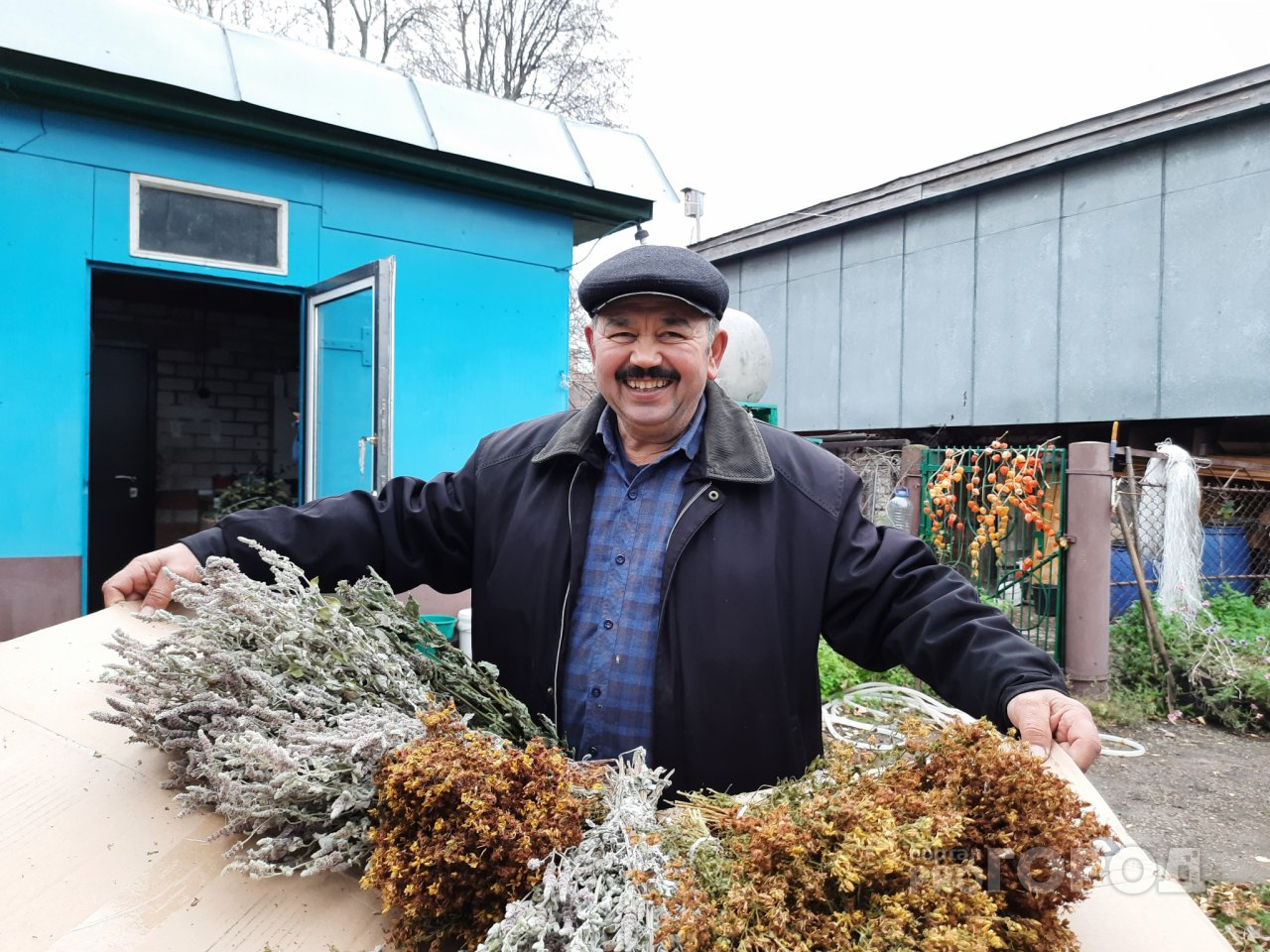 Инженер-строитель и агроном из Чувашии перестали держать скотину: продают веники и травы москвичам да иностранцам