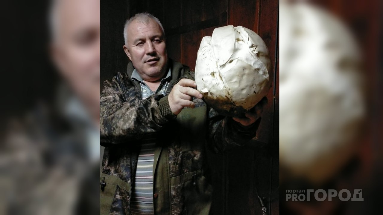 Житель Чувашии нашел в лесу огромный гриб: хватило, чтобы накормить семью и раздать родственникам