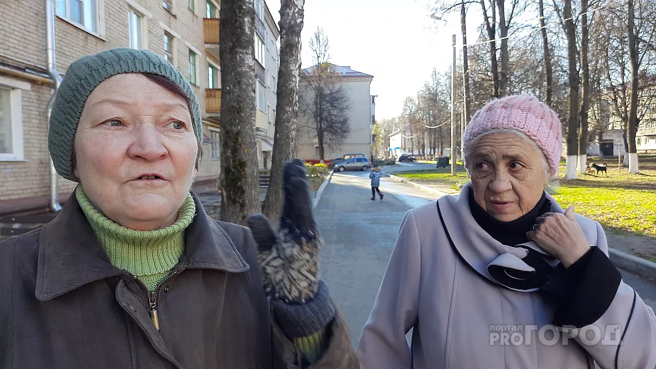 Фото к статье: Новочебоксарцев атакуют стаи бродячих собак: "У моей дочери пес вырвал кусок мяса на ноге"