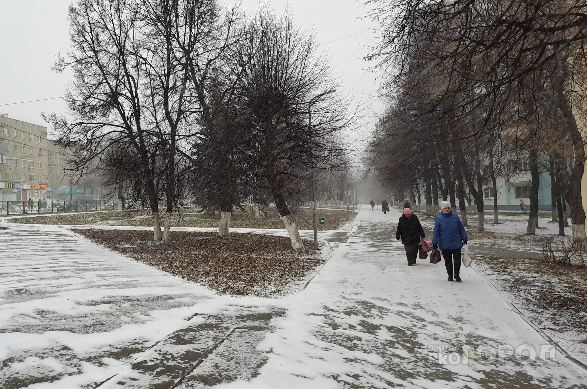Фото к статье: Снег в Чувашии продолжит идти и в пятницу, но немного потеплеет