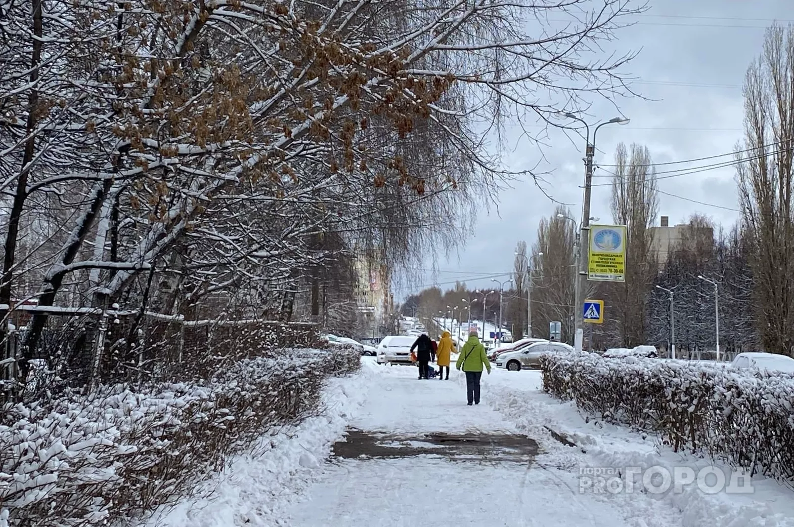 Фото к статье: В ближайшее время Чувашию атакуют 15-градусные морозы