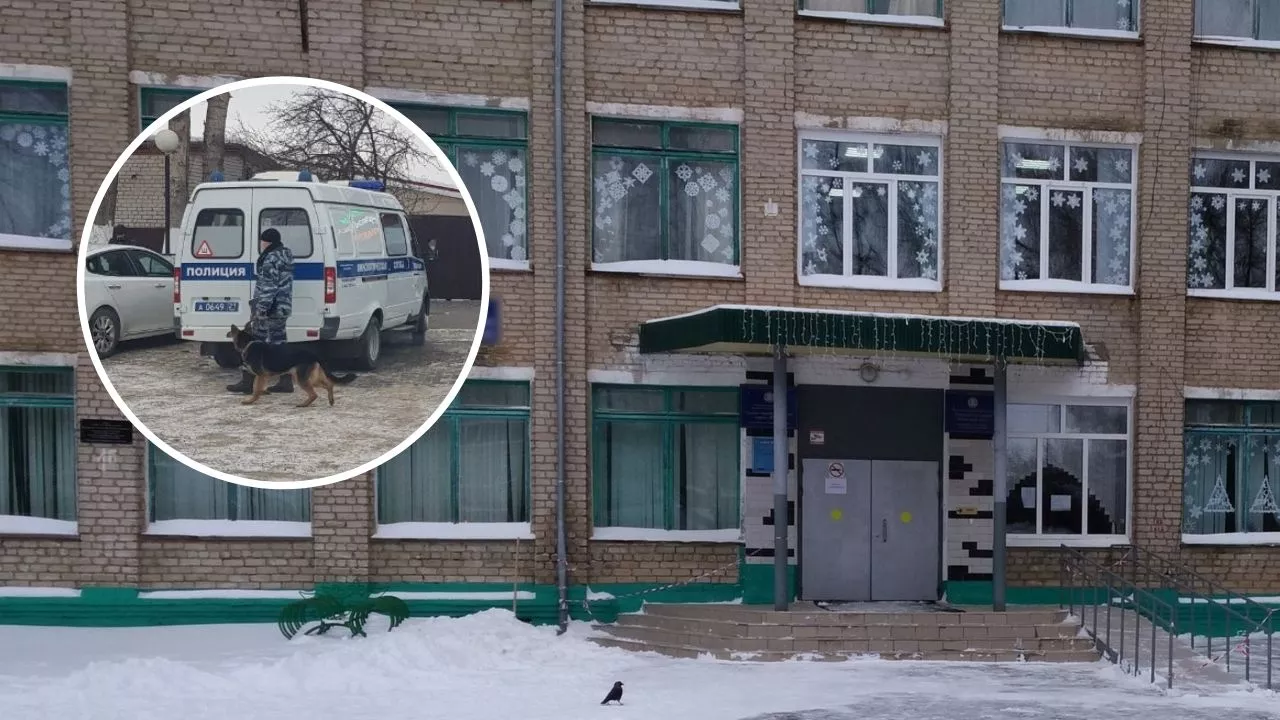 Фото к статье: В Южном Поселке эвакуировали детей из школы: здание обследовали спецслужбы