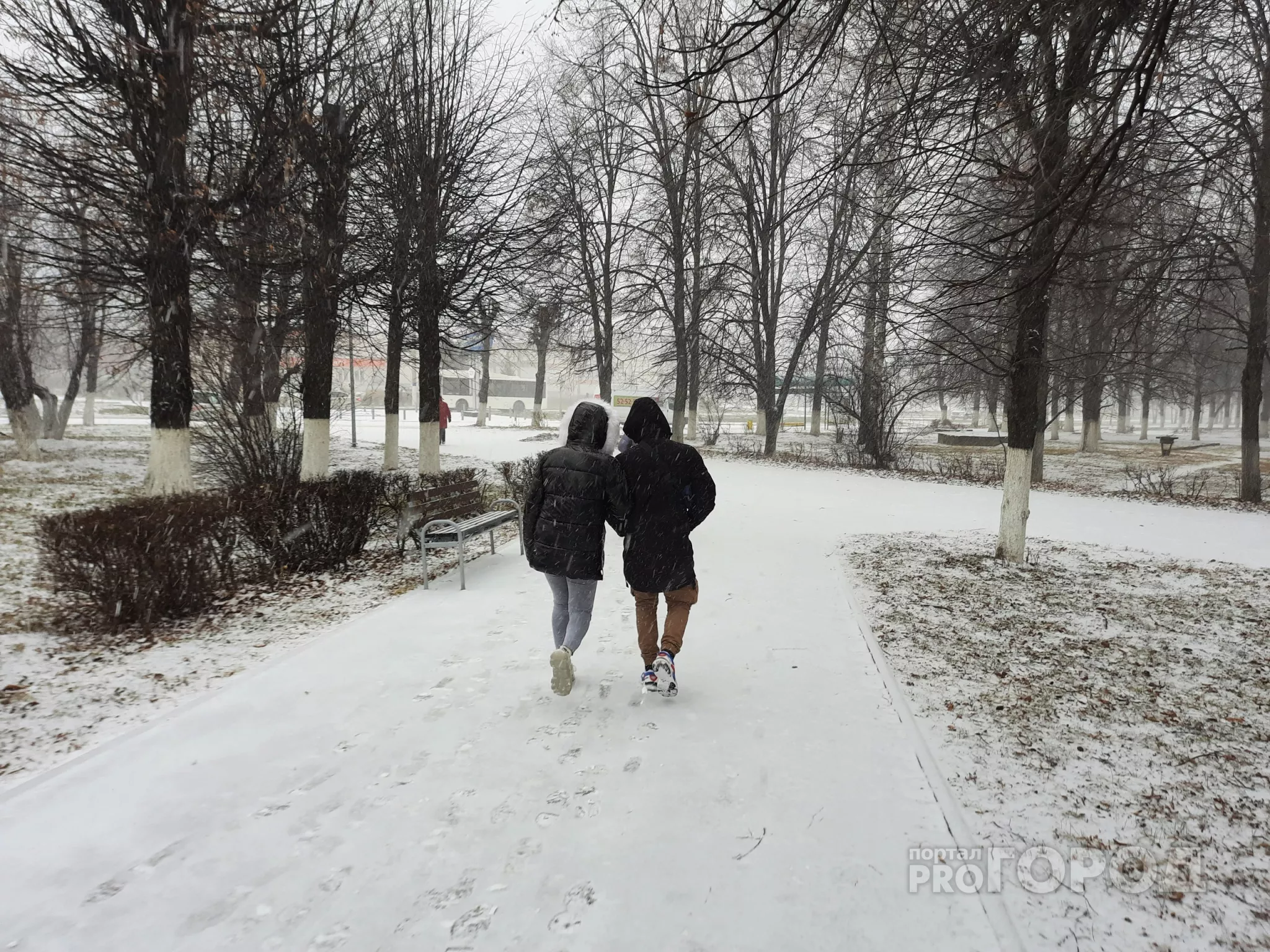 Фото к статье: В Чувашии местами темпертура достигла -26 градусов: прогноз на ближайшие сутки
