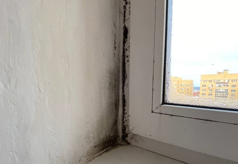 «Такого мы не ожидали»: чебоксарцам пришлось менять окна в новой квартире
