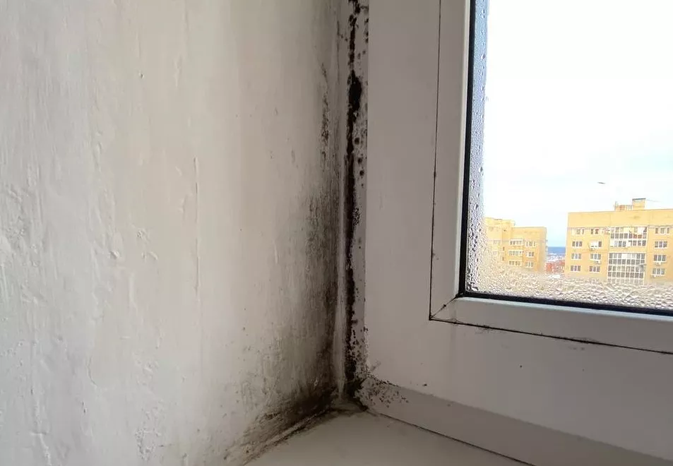 Фото к статье: «Такого мы не ожидали»: чебоксарцам пришлось менять окна в новой квартире