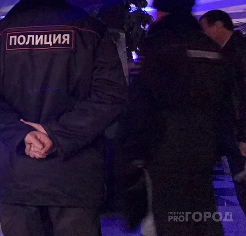 Фото к статье: Чебоксарские кафе, которые работали в новогоднюю ночь, вычислили из-за буйных посетителей