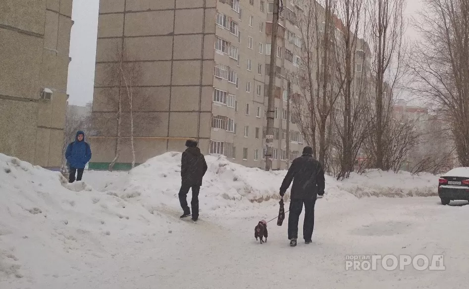 Фото к статье: Сугробы продолжат расти: на этой неделе Чувашию накроют снегопады с метелями