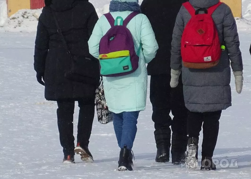 Фото к статье: Власти решили перевести школы в городах Чувашии на дистанционную форму обучения из-за стремительного роста заболеваемости