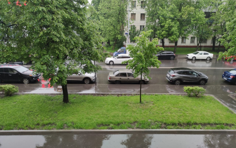 Дождь или солнце? Какая погода ждет в воскресенье