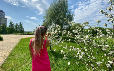 Солнечная Чувашия повысит градус до 33