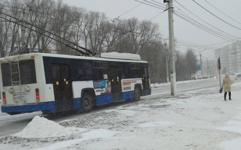 Одна из категорий жителей Чувашии сможет бесплатно ездить в троллейбусах в Чебоксарах и Новочебоксарске
