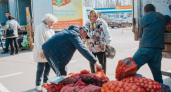 Где в Чебоксарах откроются ярмарки с фермерскими овощами