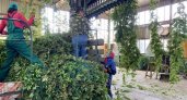 В Чувашии построят агробиотехнопарк, чтобы выращивать больше картошки и хмеля