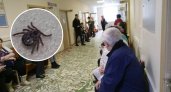 Чувашские медики рассказали, что делать, если присосались клещи