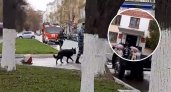 В Чебоксарах из здания военкомата вывели людей: приехали кинологи и пожарные