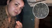 Новочебоксарцы соседствуют с червями и опарышами, которые заселили их подвал