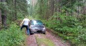 Три товарища на машине заблудились в лесах Чувашии, самостоятельно выбраться не смогли