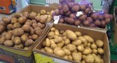 Подешевеет ли картофель в Чувашии с наступлением осени