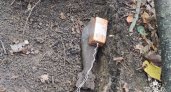 Житель Алатыря гулял в парке и наткнулся на мину
