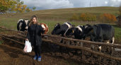 Женщина бросила работу в Москве и завела в Чувашии 16 коров: "Варим 8 видов сыров"