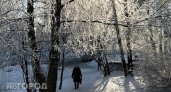 Весеннюю оттепель в Чувашии могут сменить крепкие морозы