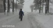 В Чувашии знатно похолодает, а потом накроют метели