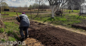 В Чувашии фермер купил удобрение за 440 тысяч рублей и обратился в полицию
