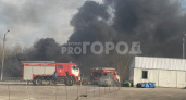 В Новочебоксарске около автосалона полыхает поле: "Черный дым виден за километры!"