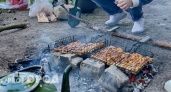 Шашлык, кетчуп и водка: Чувашстат посчитал, во сколько обойдется пикник