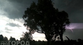 В Чувашии молния подожгла дом и дерево