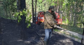 Чувашский лес загорелся из-за вредной привычки неизвестного