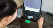 Чебоксарка хотела устроиться на удаленную работу, но лишилась всех денег