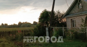 Ураганный ветер обесточил деревню в Чебоксарском районе 