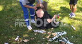В Вурнарах около стадиона "Химик" на женщину упала береза