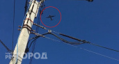 В Новочебоксарске третий час над домами кружит винтовой самолет