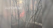 В Ибресинском районе загорелся лес