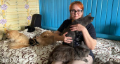 Жительница Чувашии спасает обреченных на смерть животных: "У меня 80 кошек"