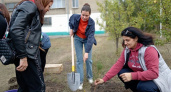В Донбасс привезли и посадили 1000 саженцев деревьев из Чувашии