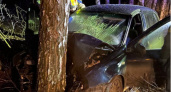В Чувашии легковушка влетела в дерево, женщина за рулем погибла на месте
