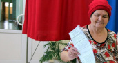 В Чувашии на выборах президента голосуют жители ДНР